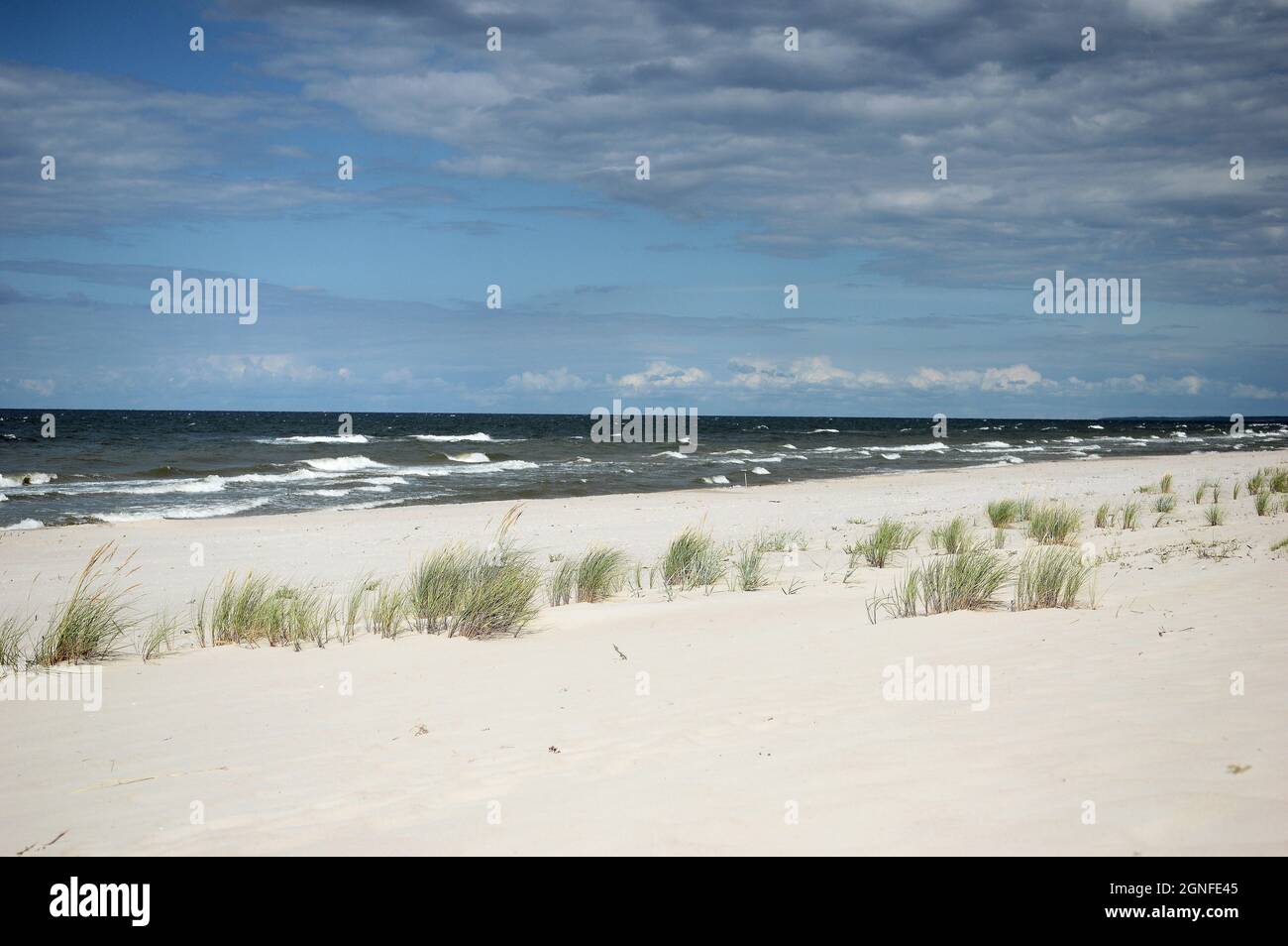 Wilder Strand in den Sommerwellen - Ostsee Stockfoto