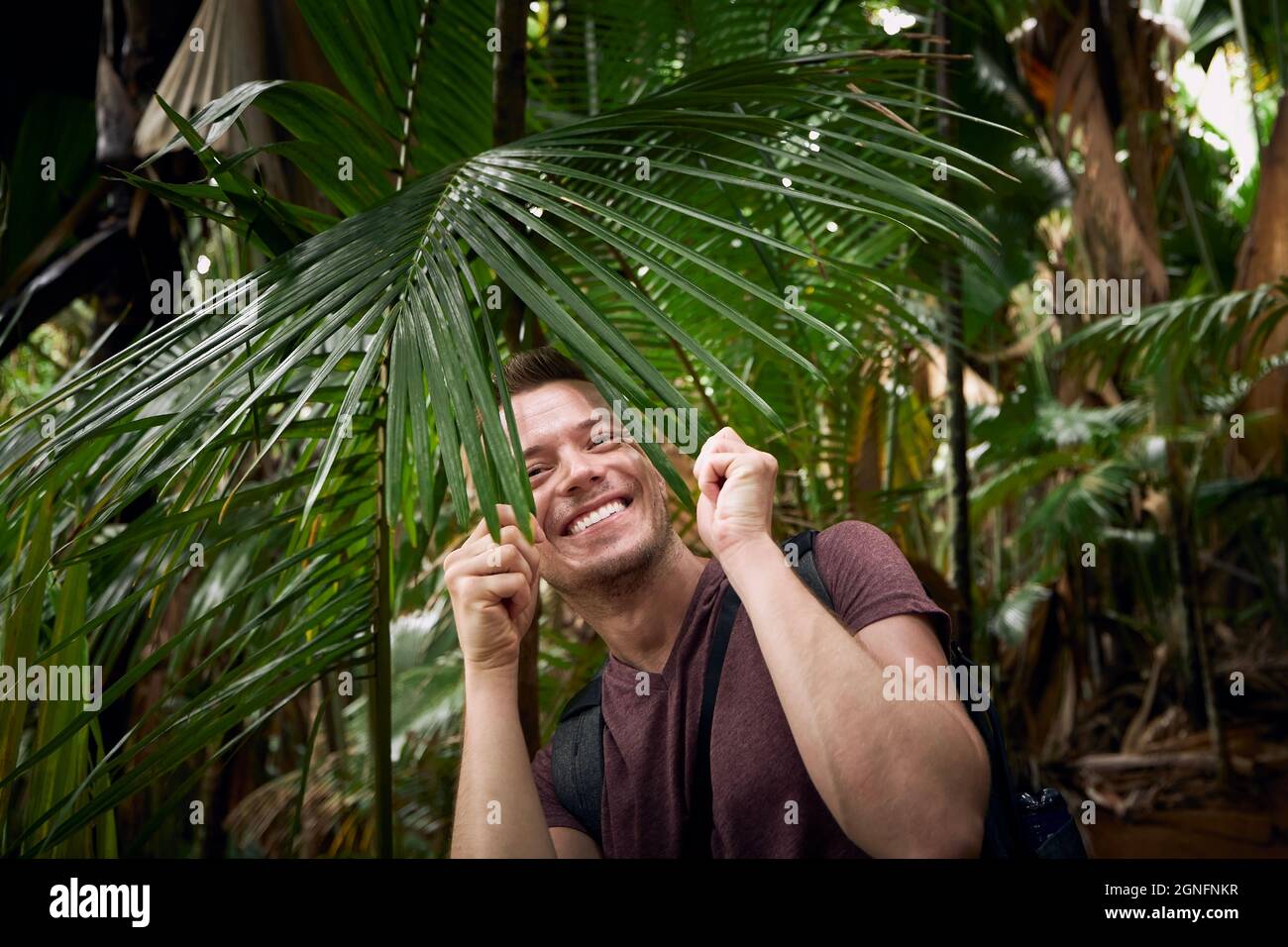 Glücklicher Mann entdeckt Dschungel. Lustiges Porträt von Reisenden im tropischen Regenwald auf den Seychellen. Stockfoto