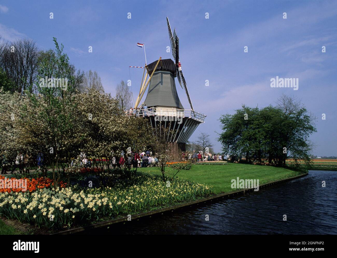 HOLLAND, NIEDERLANDE, ZUID HOLLAND REGION, DER WINDMIL DES BLUMENGARTENS VON KEUKENHOF, ZWISCHEN DEN STÄDTEN HAARLEM UND LISSE GELEGEN Stockfoto