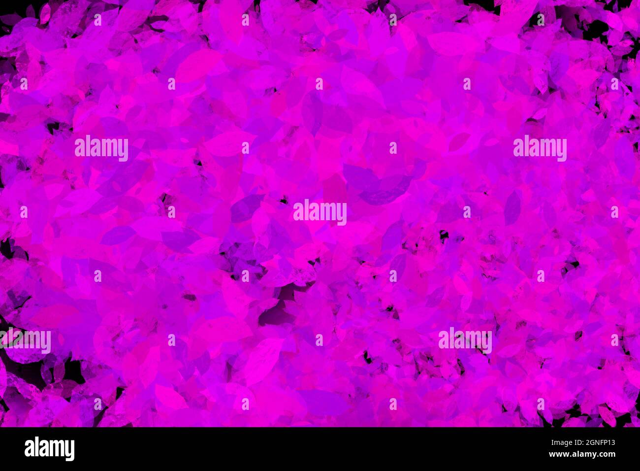 Abstrakte Textur aus rosa Blättern auf marineblauem Hintergrund Stockfoto