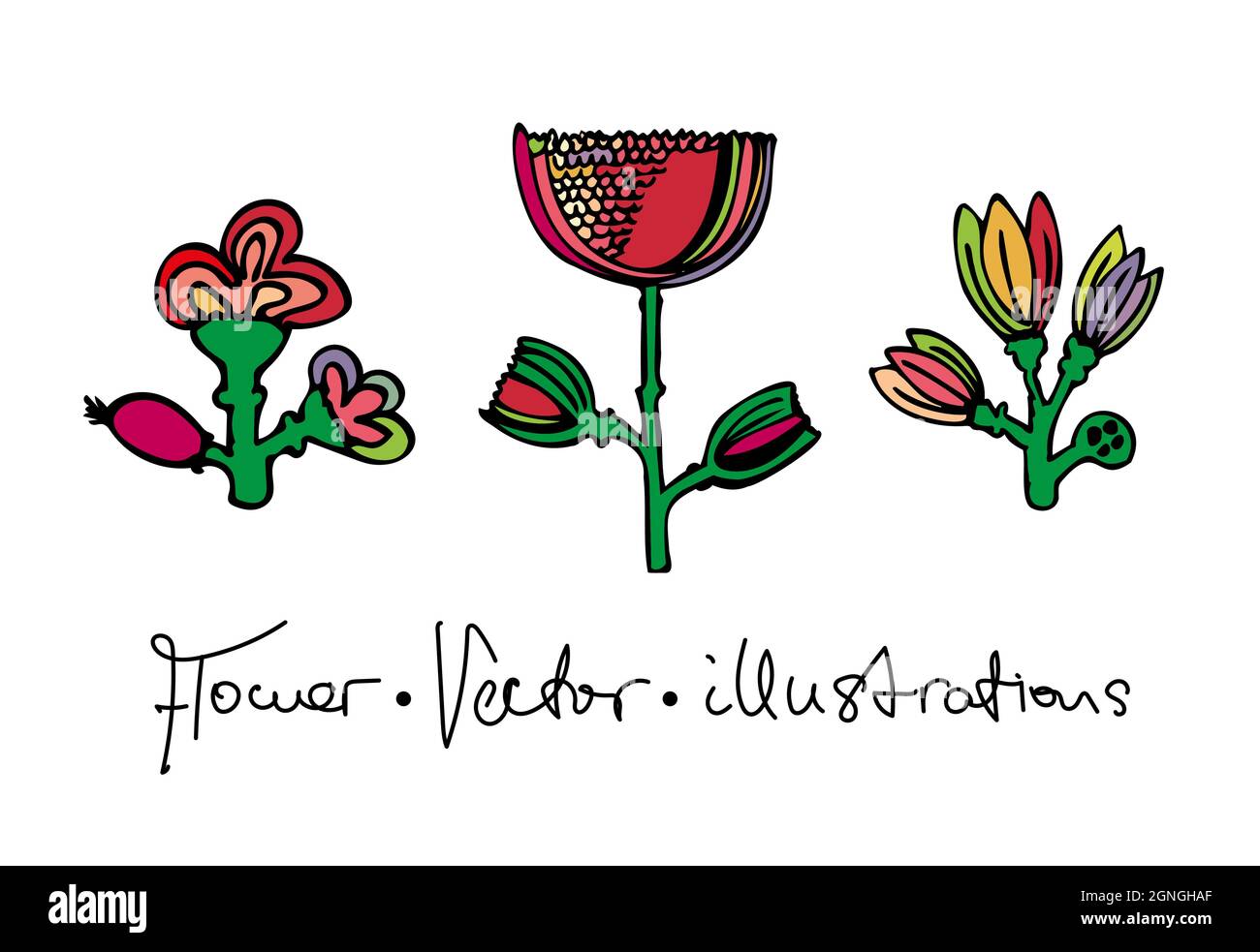 Set von Vektor-Illustrationen der Fantasie bunten Blumen mit einer Inschrift. Stock Vektor