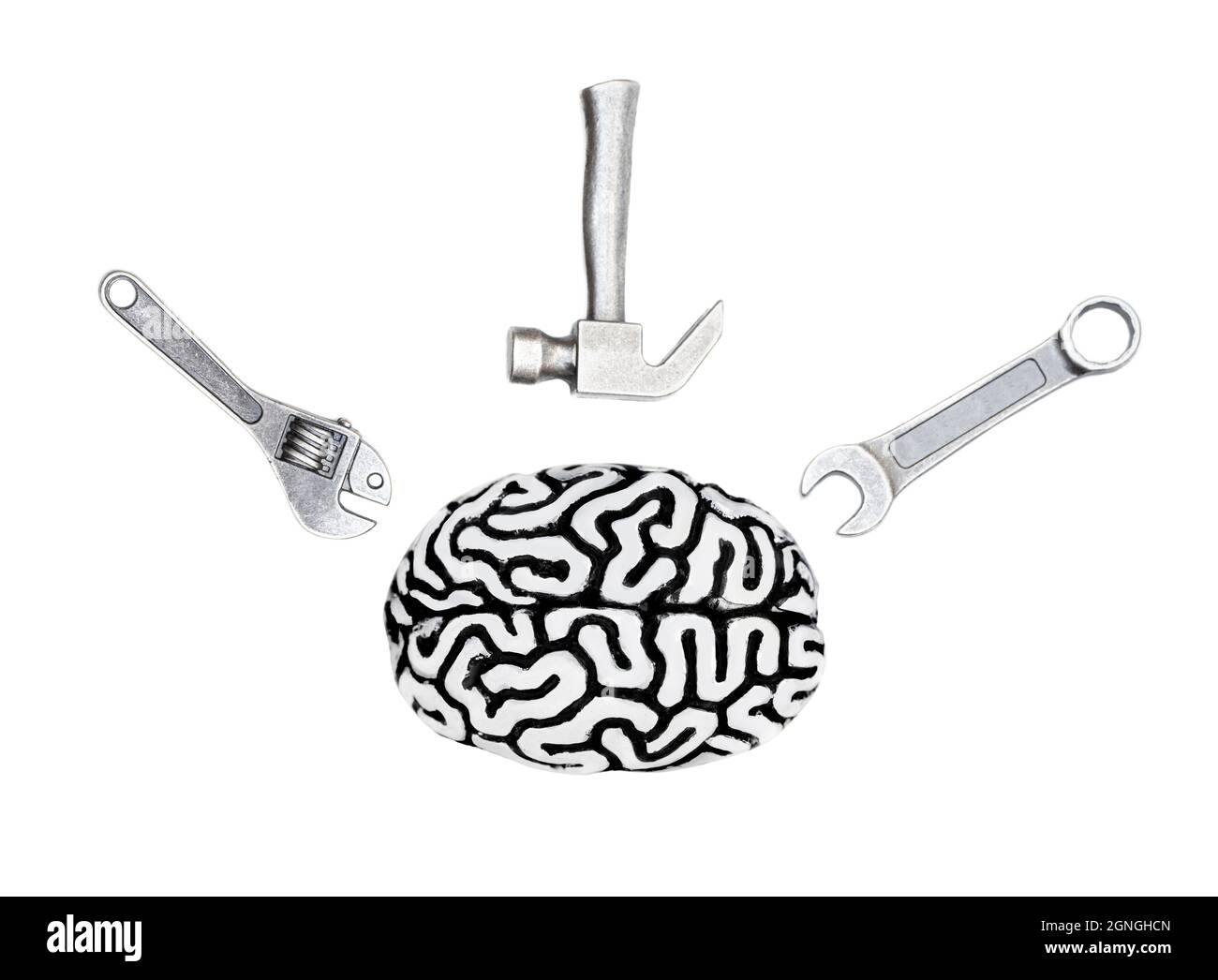 Draufsicht auf ein menschliches Gehirnmodell mit einem Satz von Handwerkzeugen, die auf Weiß isoliert sind. Kreatives Konzept für Tools zur Gehirnwiederherstellung. Stockfoto