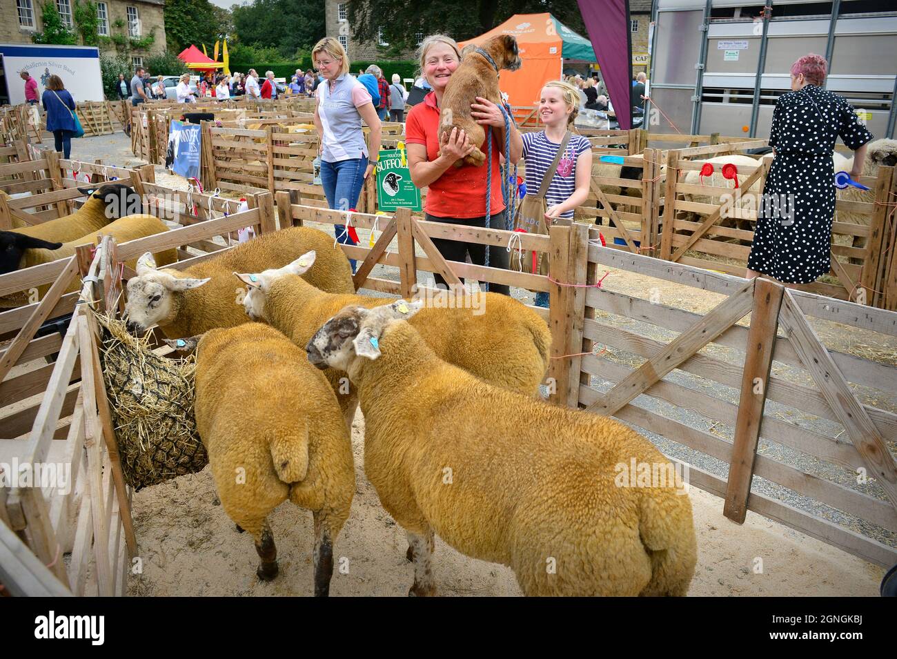Masham Sheep Fair 2021 North Yorkshire England Stockfoto