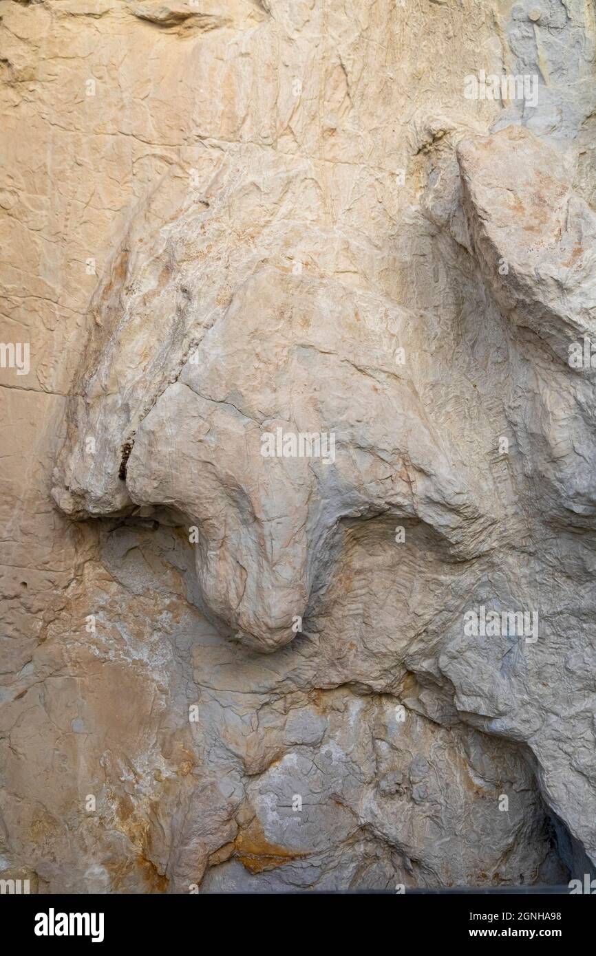 Golden, Colorado - Ein Dinosaurierpfad mit Hadrosaurus (Entenschnabel) entlang des Triceratops Trail. Der Weg im Vorort Denver ermöglicht den Zugang zu Fußabdrücken von din Stockfoto