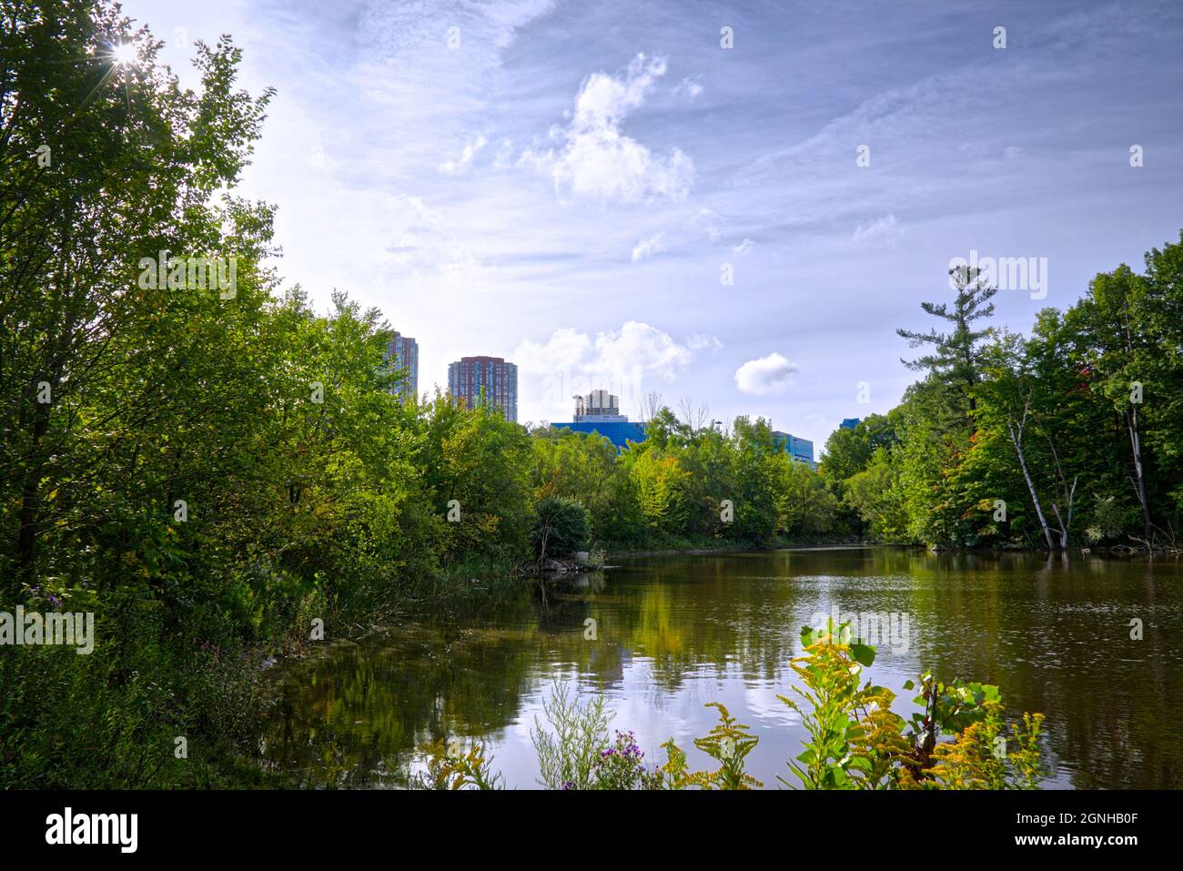 Die Stadtlandschaft im Frühling mit Reflexion auf dem Teich Stockfoto