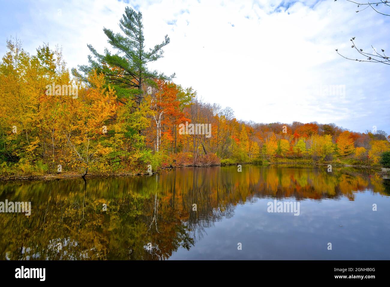 Herbstblattfarbe im öffentlichen Park mit Spiegelung im Teich Stockfoto