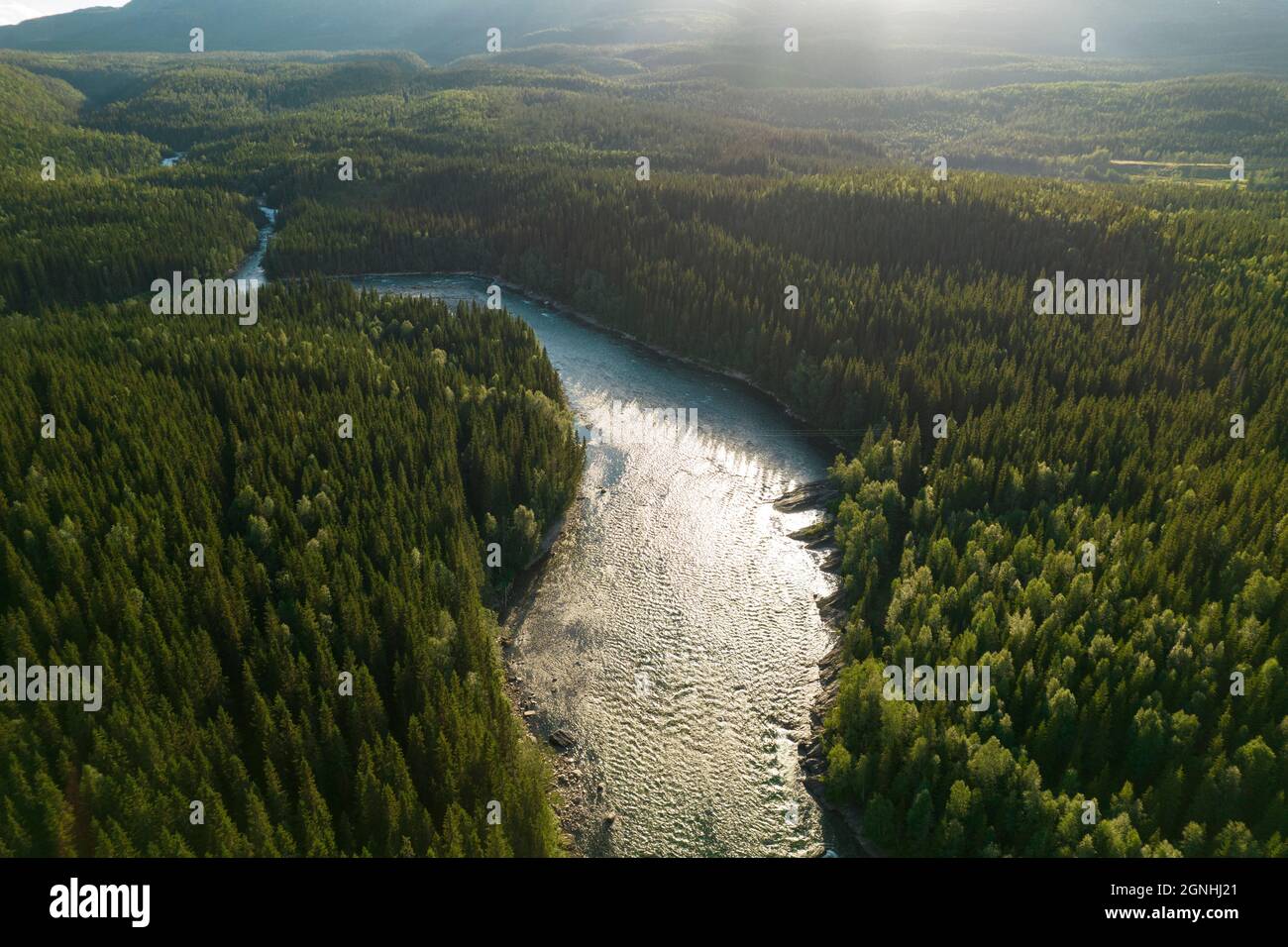 Landschaftlich schöner Luftblick auf die Waldgebiete und den Fluss Nordland County Norway. Sommer in der norwegischen Nordwilderness. Stockfoto