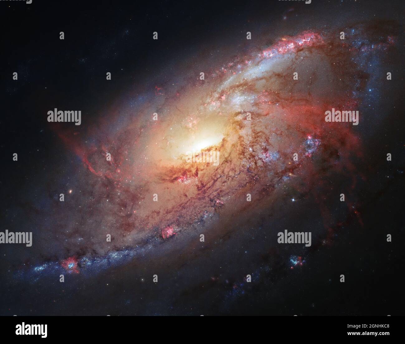 M106 ist eine aktive Seyfert-II-Galaxie. Es wird angenommen, dass große Mengen von Gas aus der Galaxie in ein supermassereiches schwarzes Loch im Kern fallen und es anheizen. M106, auch bekannt als NGC 4258, liegt 23.5 Millionen Lichtjahre entfernt im Sternbild Canes Venatici. . Bildquelle NASA/ESA Hubble Space Telescope Stockfoto