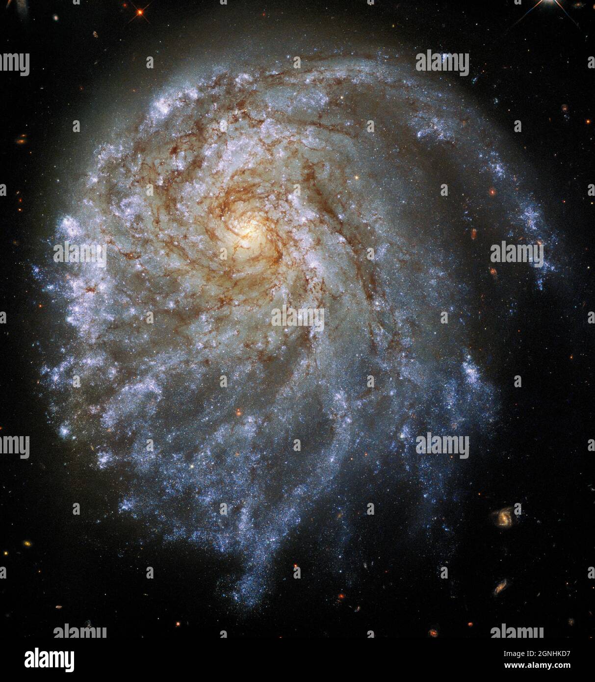 Dieses Bild zeigt die Hinterarme von NGC 2276, einer Spiralgalaxie, die 120 Millionen Lichtjahre entfernt im Sternbild Cephös liegt. . Bildquelle NASA/ESA Hubble Space Telescope Stockfoto