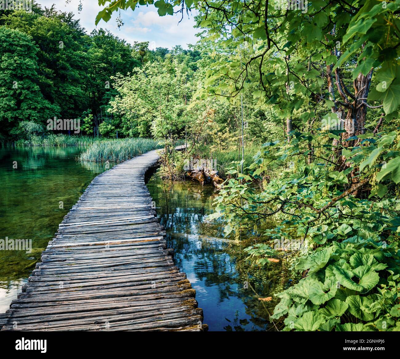 Farbenfrohe Morgenansicht des Plitvice National Park. Malerische Sommerszene von grünem Wald mit reinem Wasser See. Herrliche Landschaft von Croa Stockfoto