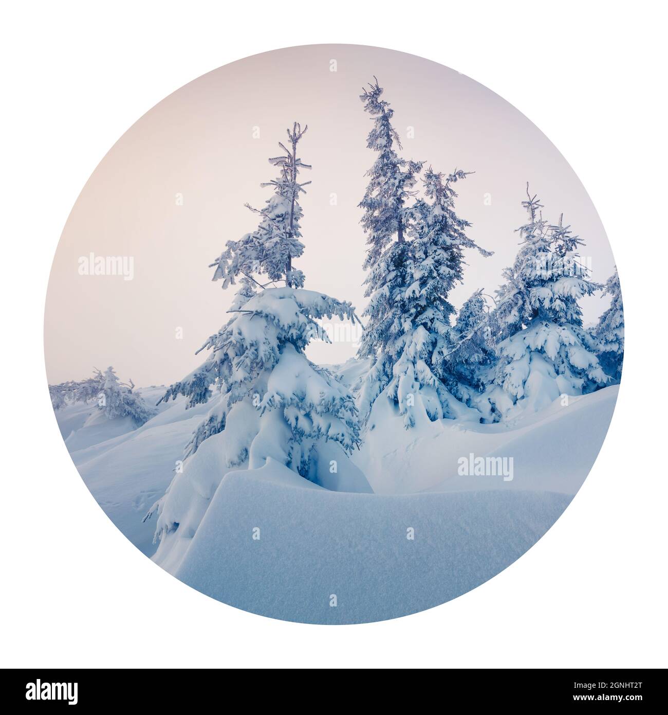 Runde Ikone der Natur mit Landschaft. Heller Wintermorgen in den Karpaten mit schneebedeckten Tannenbäumen. Fotografie im Kreis. Stockfoto