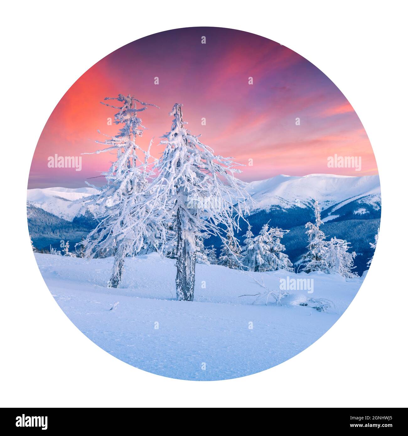 Runde Ikone der Natur mit Landschaft. Toller Winteraufgang in den Karpaten mit schneebedeckten Tannenbäumen. Fotografie im Kreis. Stockfoto