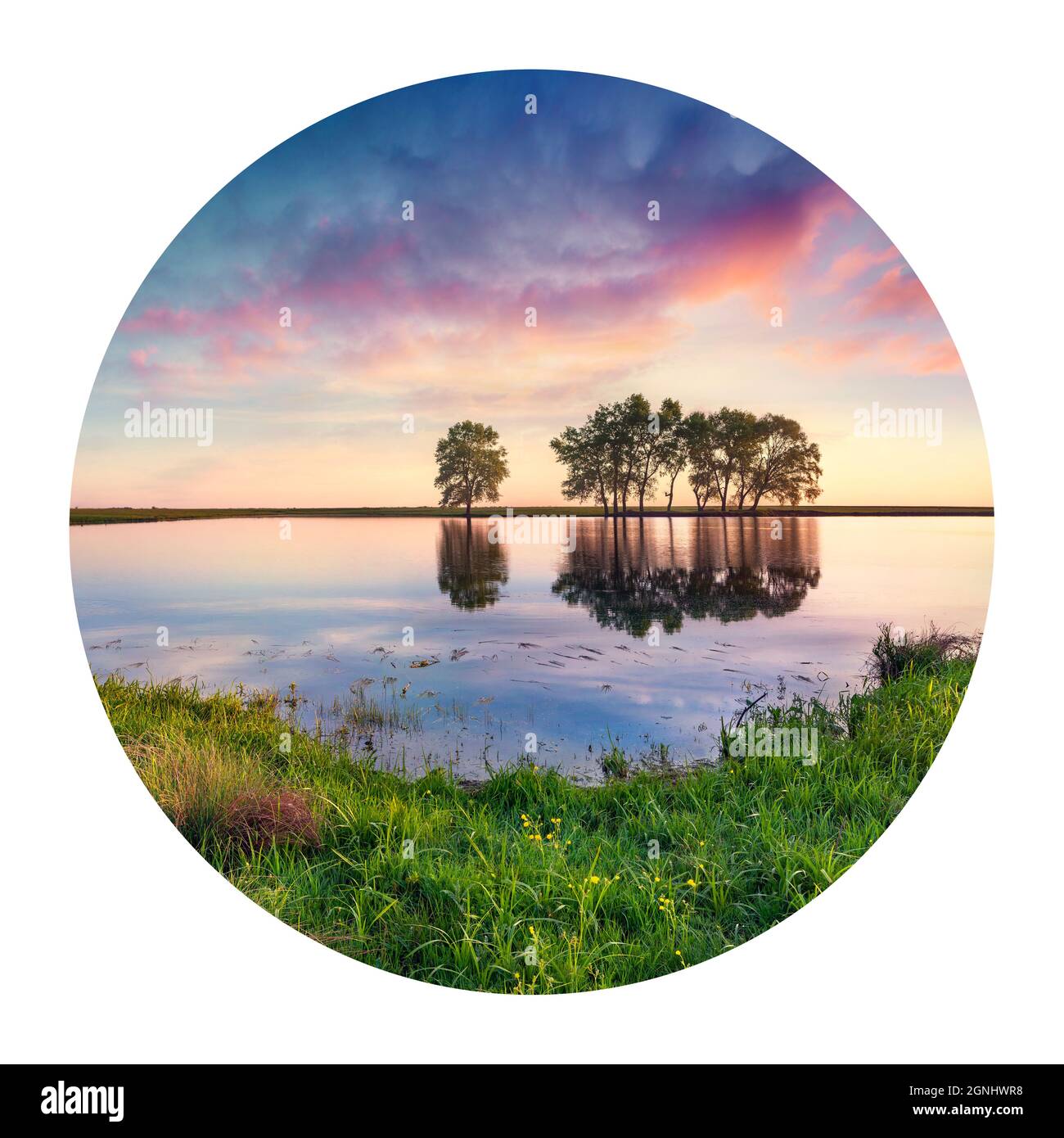 Runde Ikone der Natur mit Landschaft. Erstaunlicher Sommeraufgang auf dem kleinen Teich. Bunte Morgenszene auf dem Land. Fotografie im Kreis. Stockfoto