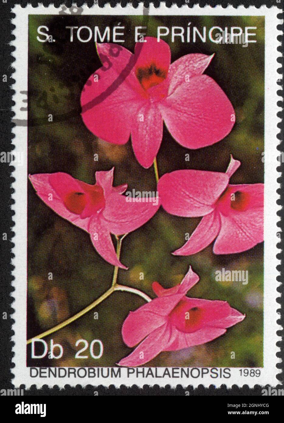 Timbre S.Tomé e Principe. Dendrobium phalaenopsis. DB 20. 1989 Stockfoto