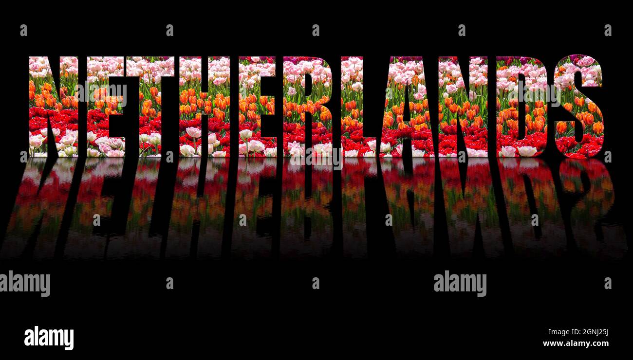 Niederlande Text aus Tulpen auf schwarzem Hintergrund mit Text Reflexion im Wasser. Stockfoto