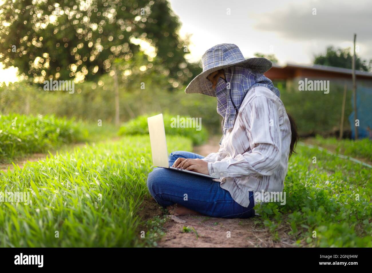 Thai Landwirt ist mit einem Laptop-Computer in einem frischen Morgen Glory Gemüsefarm, Bio gesunde Lebensmittel und Technologie-Konzept, wählen Fokus flach dept Stockfoto