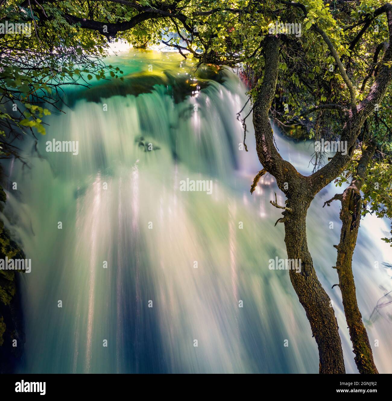 Wasserfall mit reinem Wasser unter dem Baum im Nationalpark Krka, Kroatien, Europa. Wunderbare Welt der Mittelmeerländer. Schönheit der Natur Konzept backg Stockfoto
