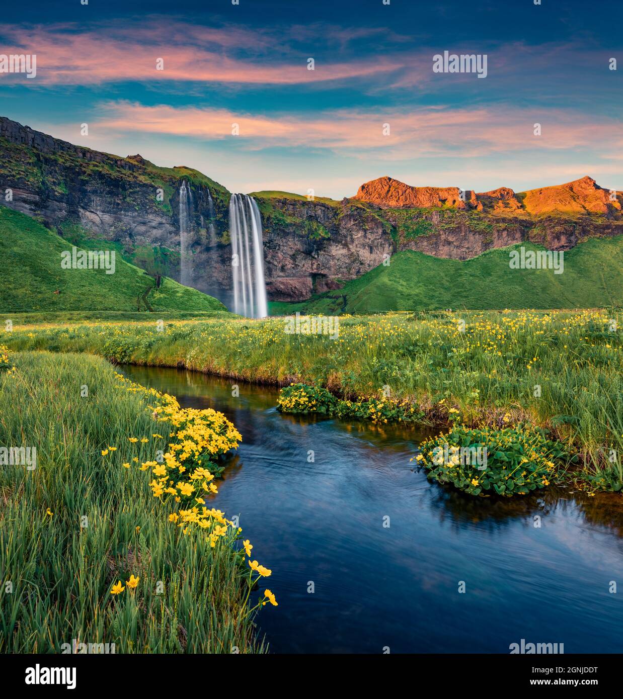 Aufregender Sonnenuntergang am beliebten Touristenziel - Seljalandsfoss Wasserfall, wo Touristen hinter dem fallenden Wasser spazieren können. Pictuewsque Sommerszene Stockfoto
