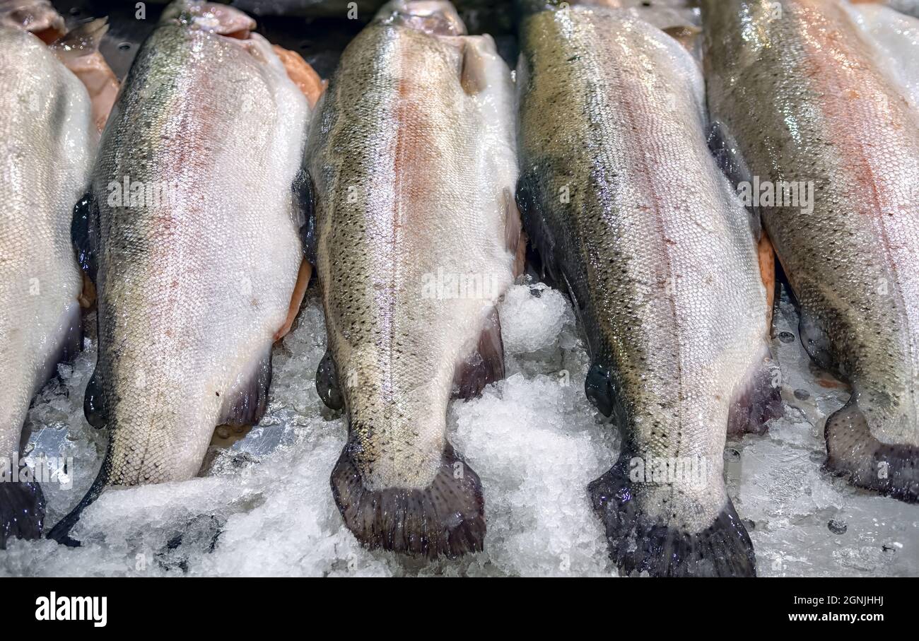 Roher Lachs, rote Forellen auf Eis im Fischgeschäft. Lachsforelle roter Fisch auf Eis im Supermarkt. Stockfoto