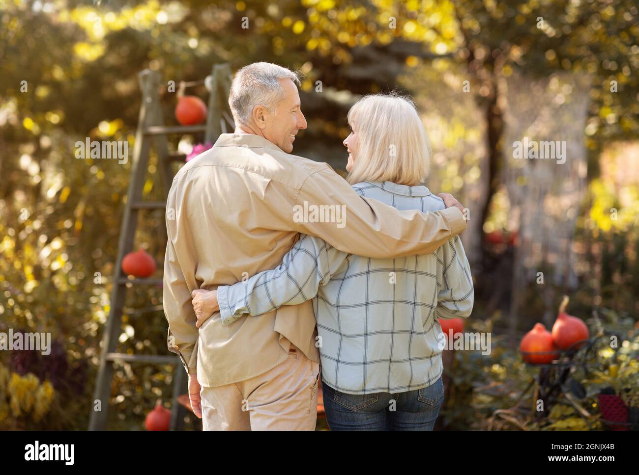 Rückansicht von liebevollen Senioren-Ehepartnern, die sich an sonnigen, warmen Herbsttag im Park umarmen und spazieren gehen Stockfoto