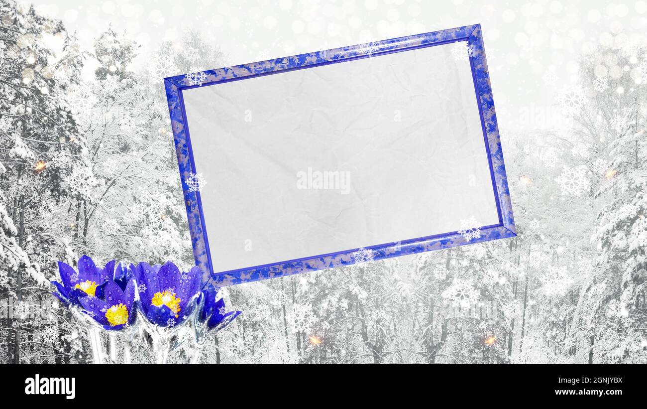 Ein Rahmen mit sauberem Papier für Text mit einem schneebedeckten Winterwald und blühenden Schneeglöckchen. Postkarte für Winterferien Stockfoto