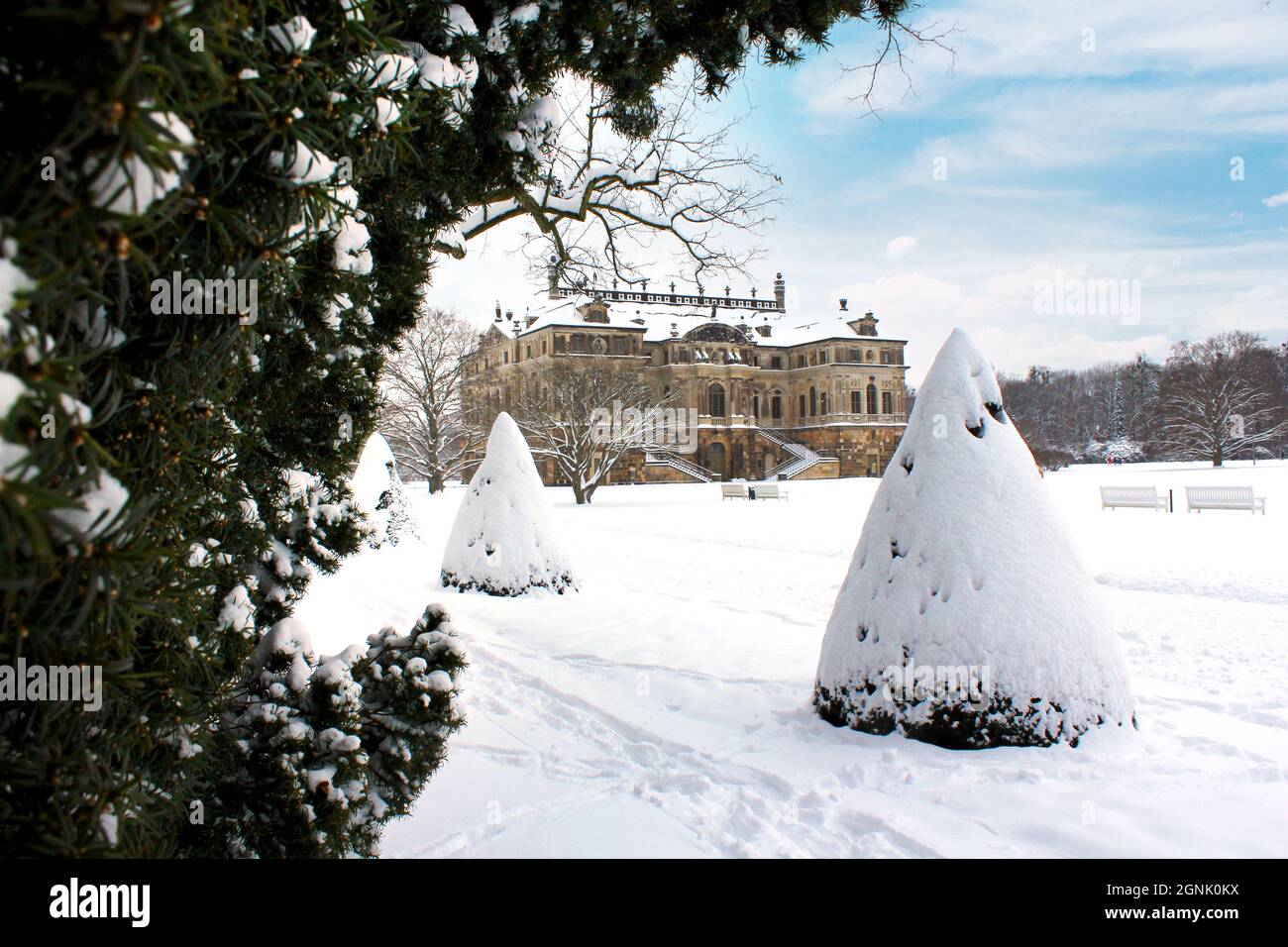 Schneebedeckter Baum mit Gesicht, großer Garten Dresden, Deutschland Stockfoto