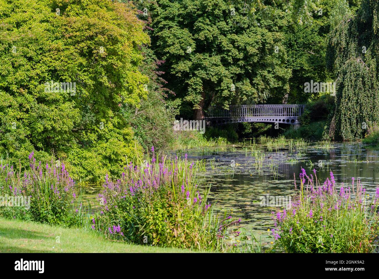 Bad Muskau an der polnischen Grenze, mit einem herrlichen Park und Schluss vom Fürst Pückler / Grenze zu Polen, Fürst Pückler Park mit Schloss Stockfoto