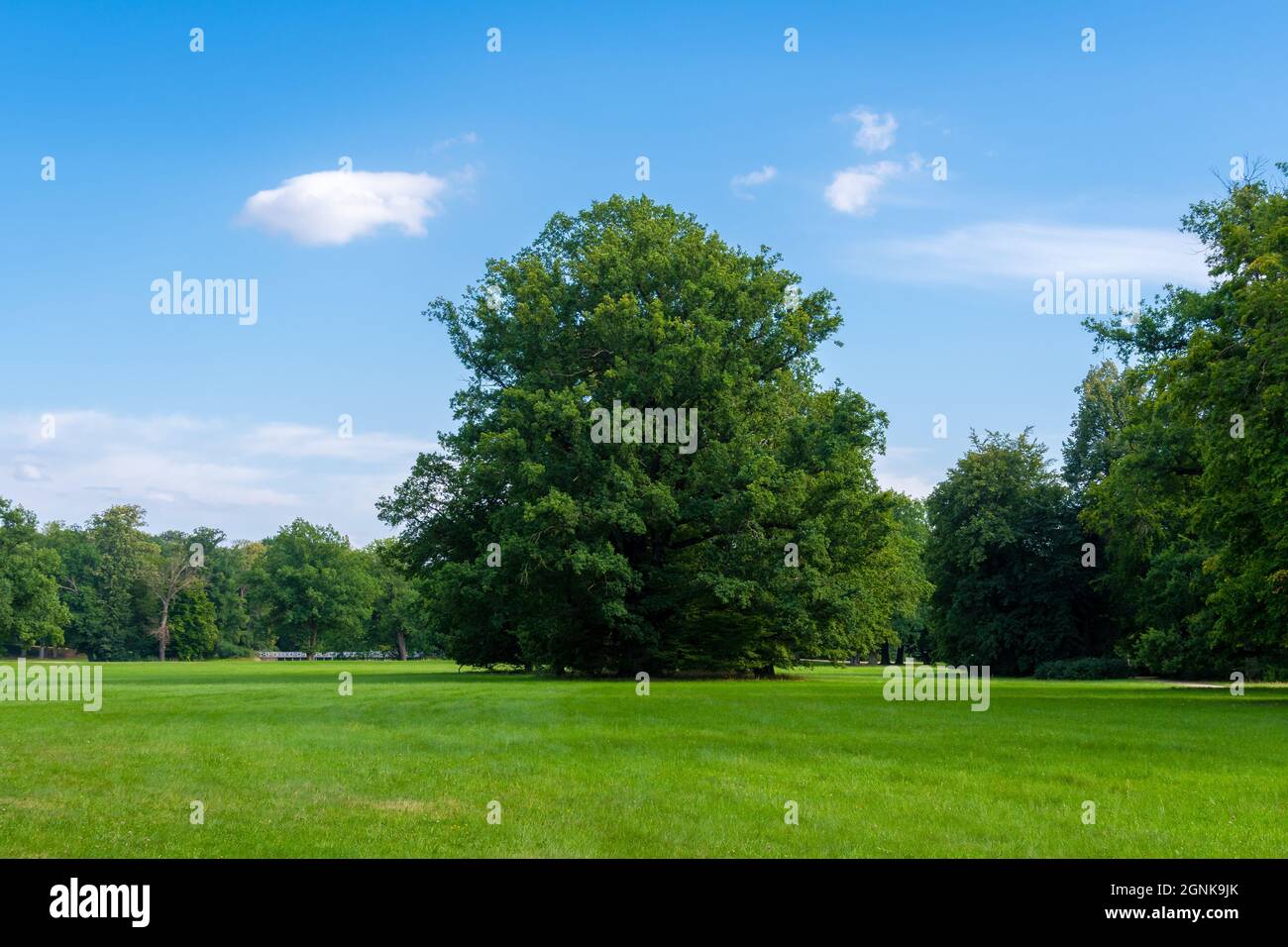 Bad Muskau an der polnischen Grenze, mit einem herrlichen Park und Schluss vom Fürst Pückler / Grenze zu Polen, Fürst Pückler Park mit Schloss Stockfoto