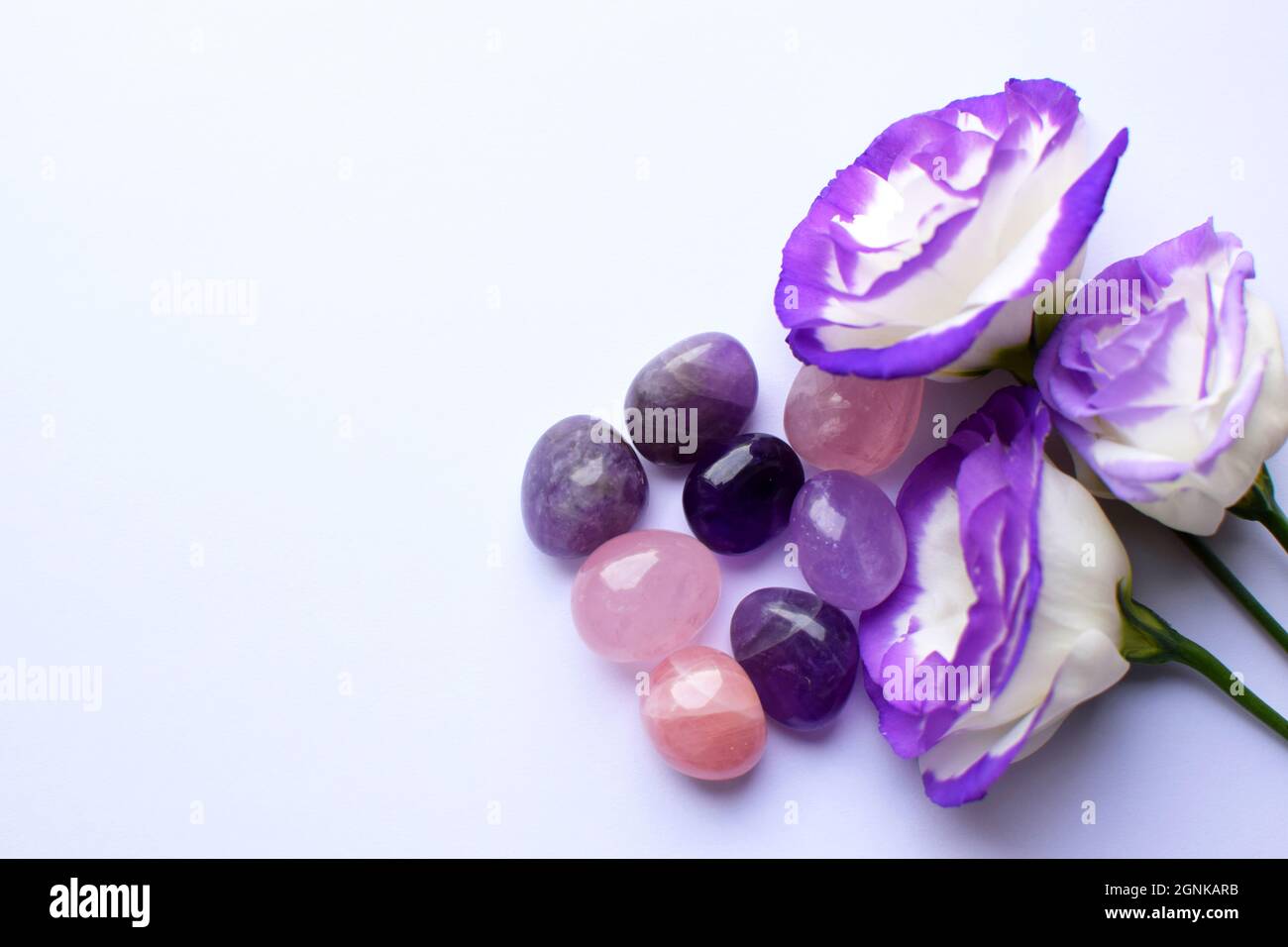 Schöne weiß-lila eustoma (lisianthus) blüht in voller Blüte mit grünen Blättern. Blumenstrauß auf weißem Hintergrund Stockfoto