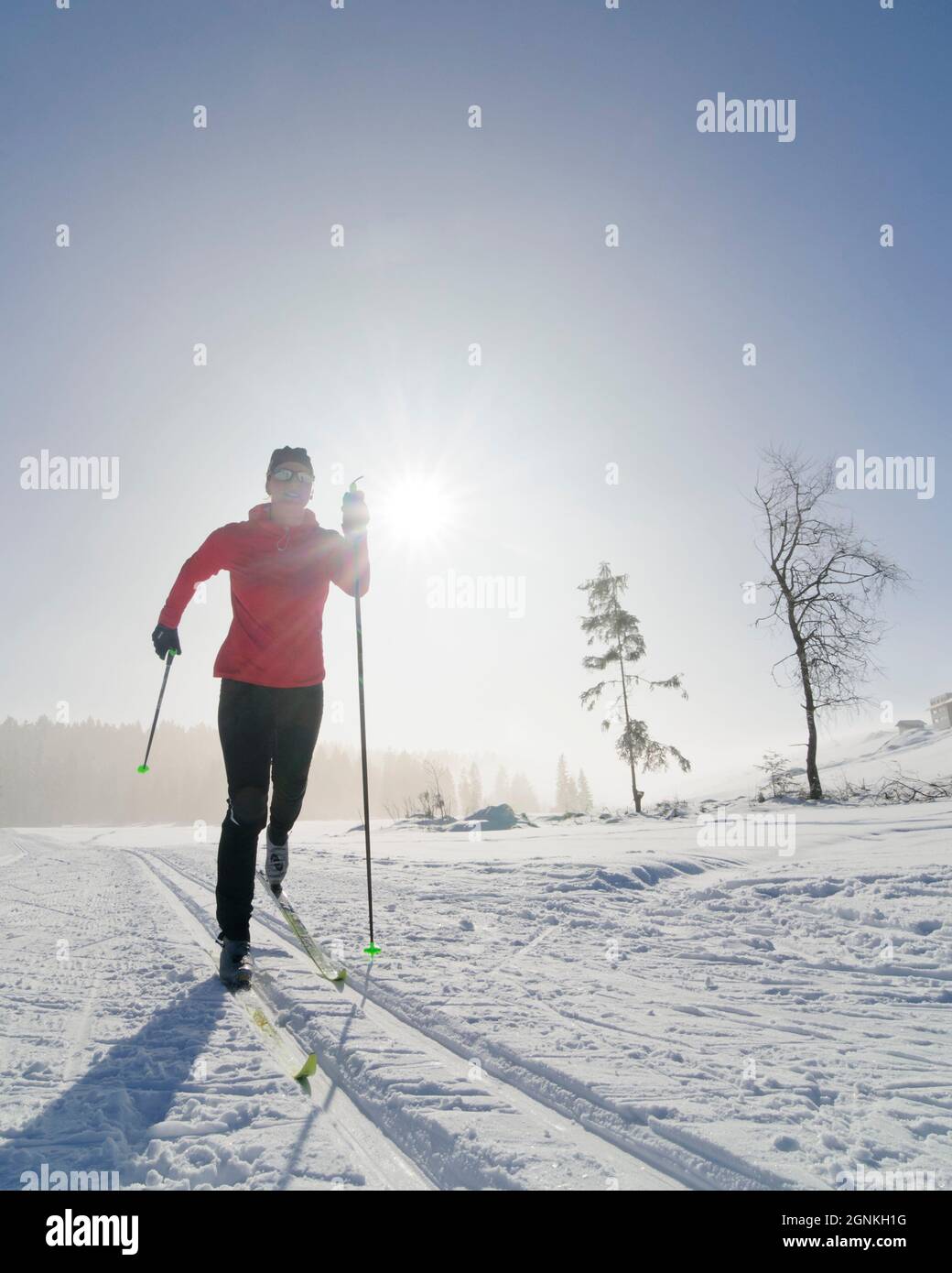 Langlaufen - junge Sportlerin in perfekter Diagonal Stil Stockfoto