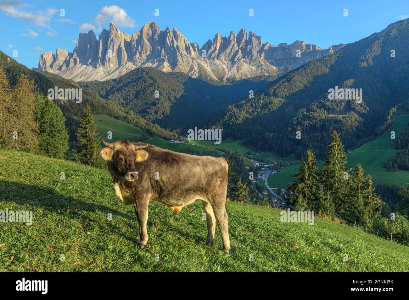 Ranui, Geisler Gruppe, Funes, Südtirol, Dolomiten, Südtirol, Italien Stockfoto