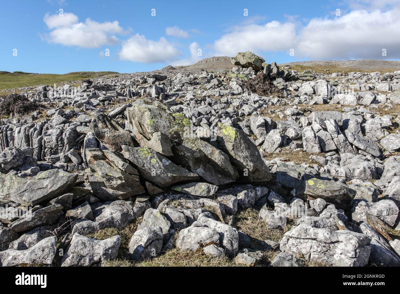 Klassische Landformen der Britischen Inseln - die Norber Erratics Stockfoto