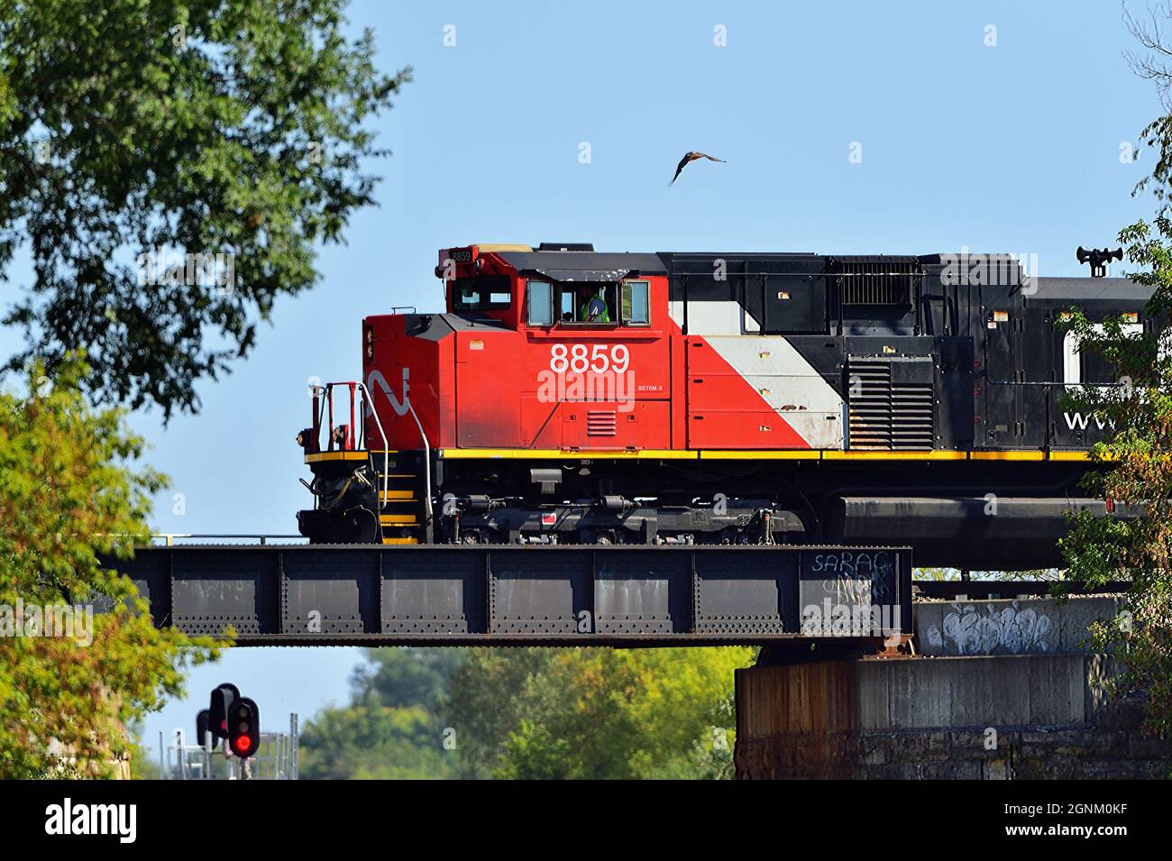 Wayne, Illinois, USA. Eine Lokomotive der Canadian National Railway führt einen Güterzug über einen Viadukt über eine andere Eisenbahnlinie. Stockfoto