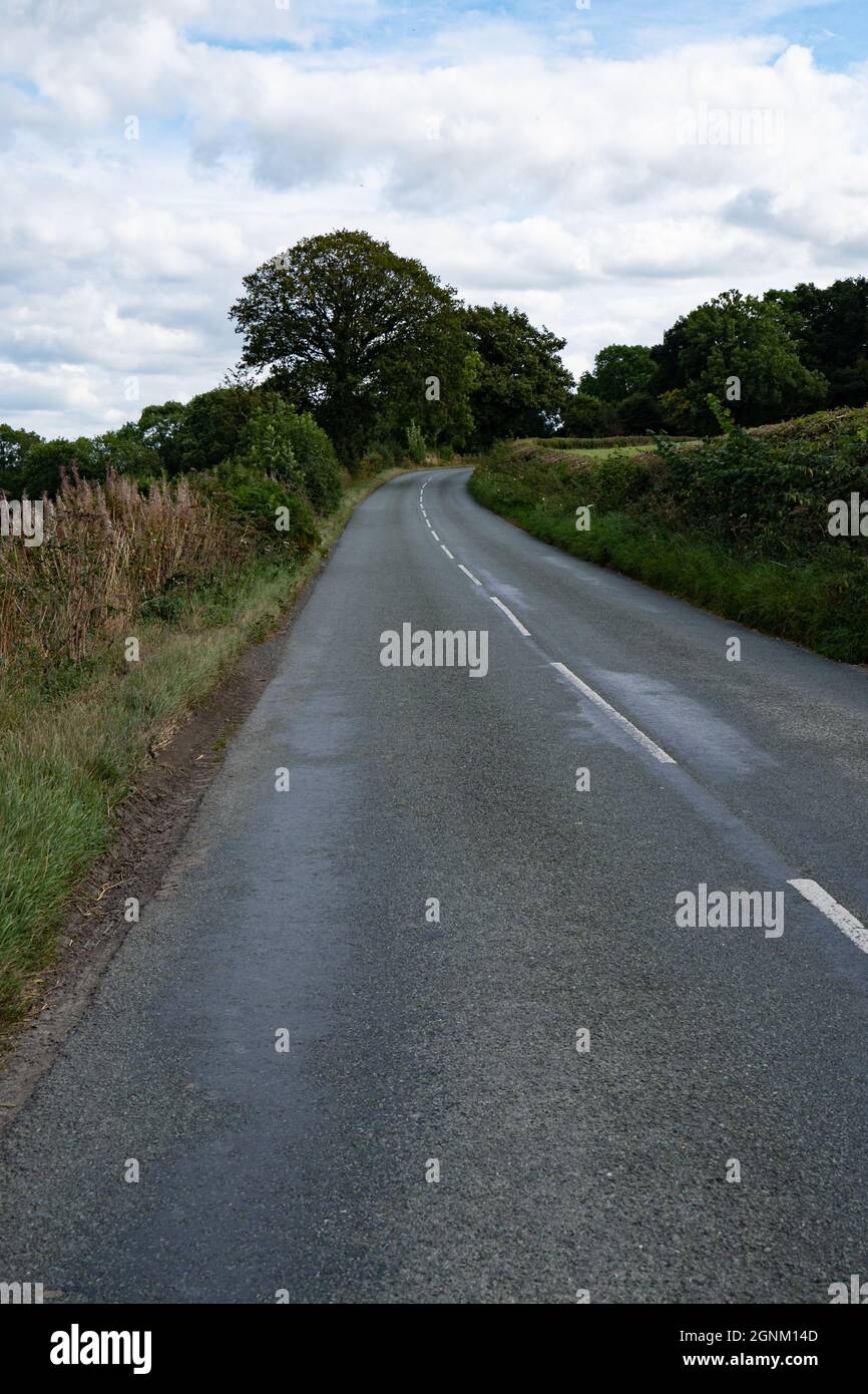 Gewundene Landstraße durch walisische Landschaft mit Hecken und Bäumen unter bewölktem Himmel Stockfoto