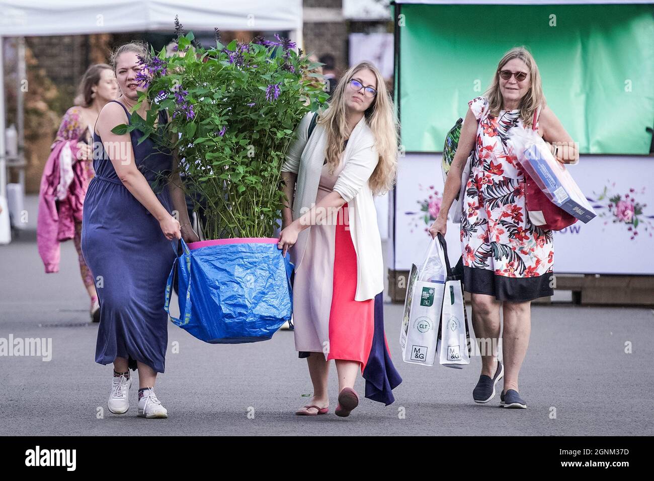 London, Großbritannien. September 2021. Verkauf der Chelsea Flower Show-Pflanze. Am letzten Tag der RHS Chelsea Flower Show, bei der viele Aussteller ihre Pflanzen zu verwerflichen Preisen an die Öffentlichkeit verkaufen, werden die Schnäppchen schnell erledigt. Kredit: Guy Corbishley/Alamy Live Nachrichten Stockfoto