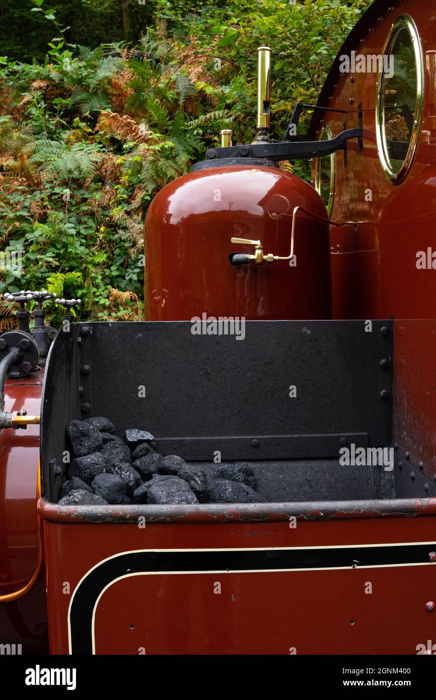 Rote Dampflokomotiven gefüllt mit Kohle unter Waldfarnen in Wales Stockfoto