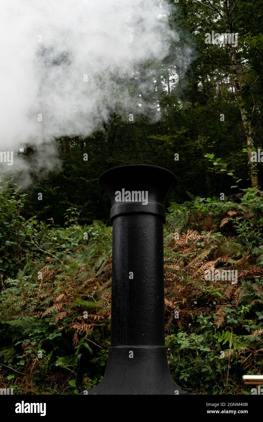 Dampflokomotivschornstein, der weißen Rauch durch den walisischen Wald bläst Stockfoto