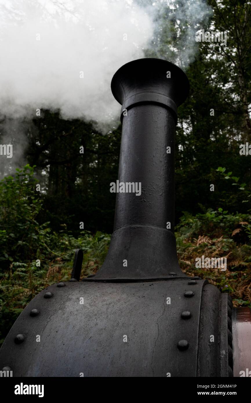 Dampflokomotivschornstein mit weißem Rauch, der gegen grüne Bäume weht Stockfoto