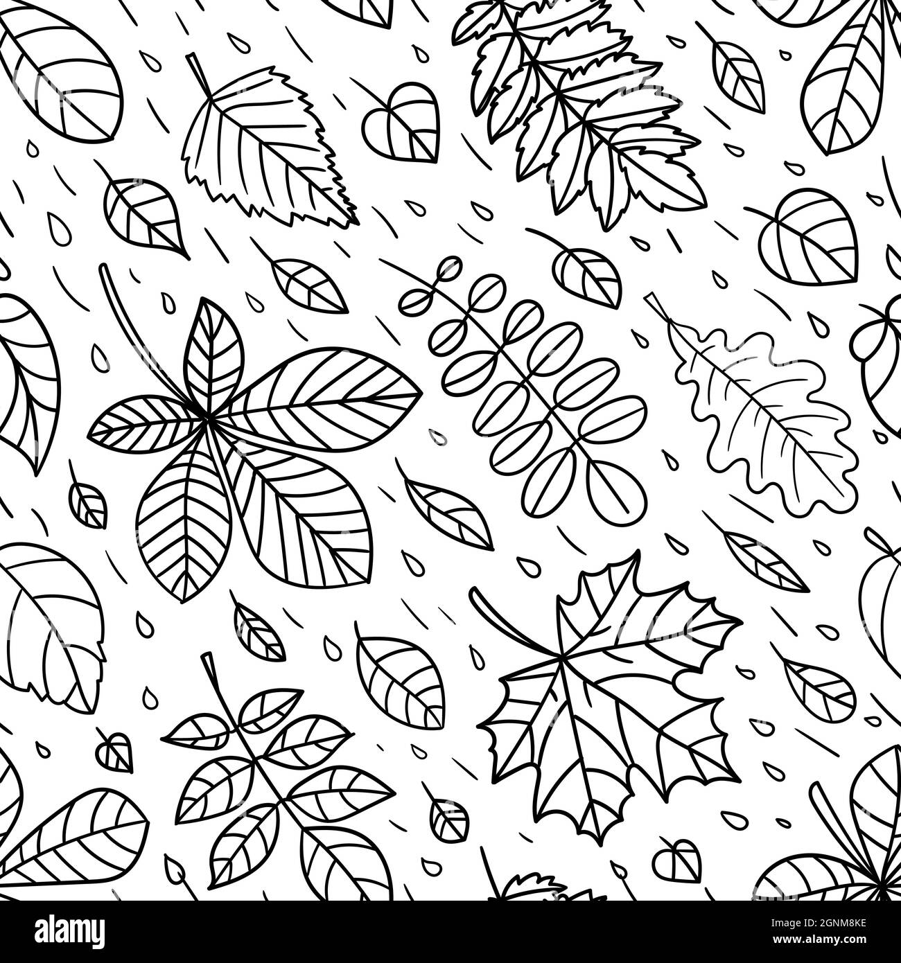 Nahtloses Muster mit Herbstblättern. Lineares Schwarzweißbild. Vektor Stock Vektor