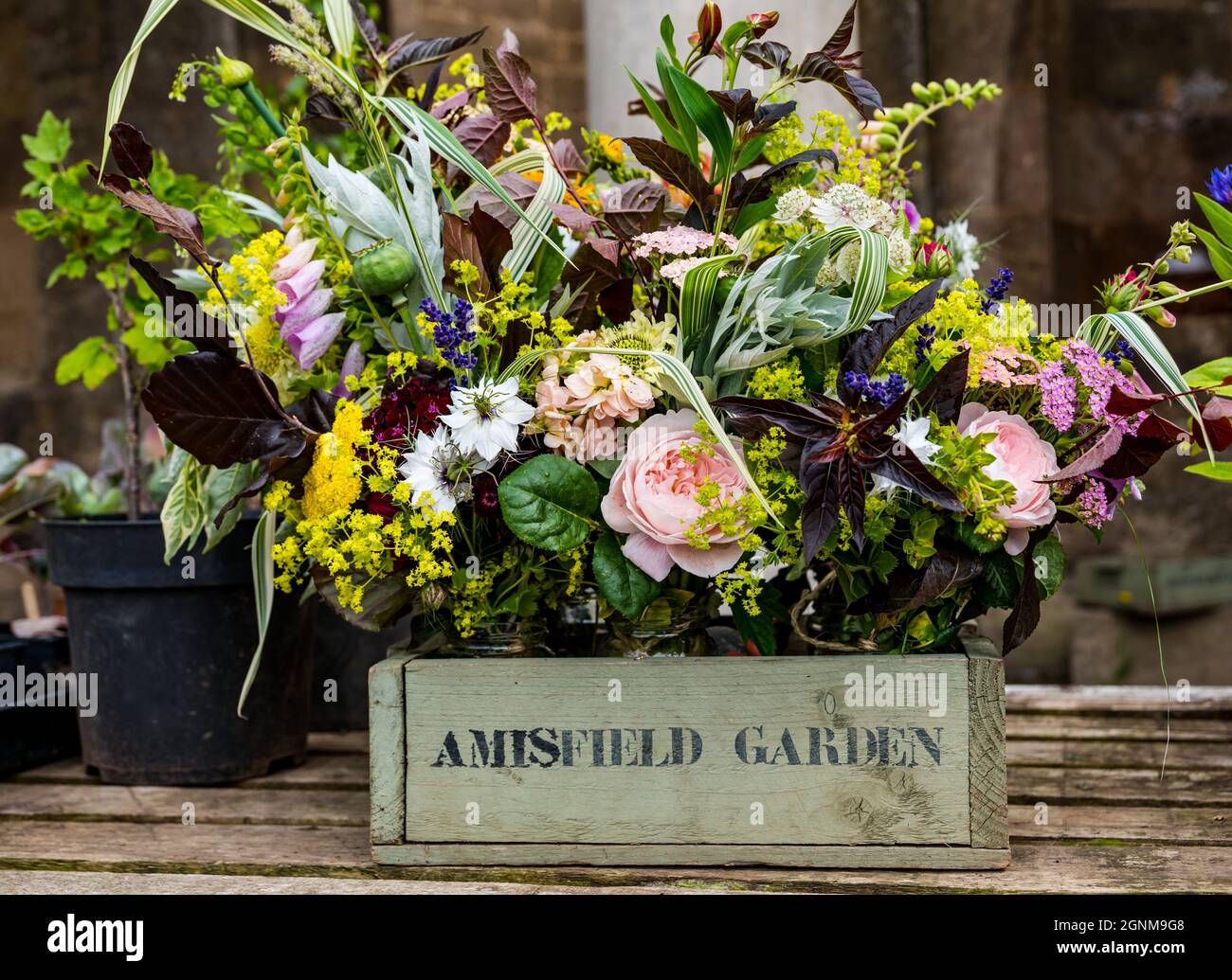 Blumensträuße zu verkaufen, Amisfield Walled Garden, East Lothian, Schottland, Großbritannien Stockfoto