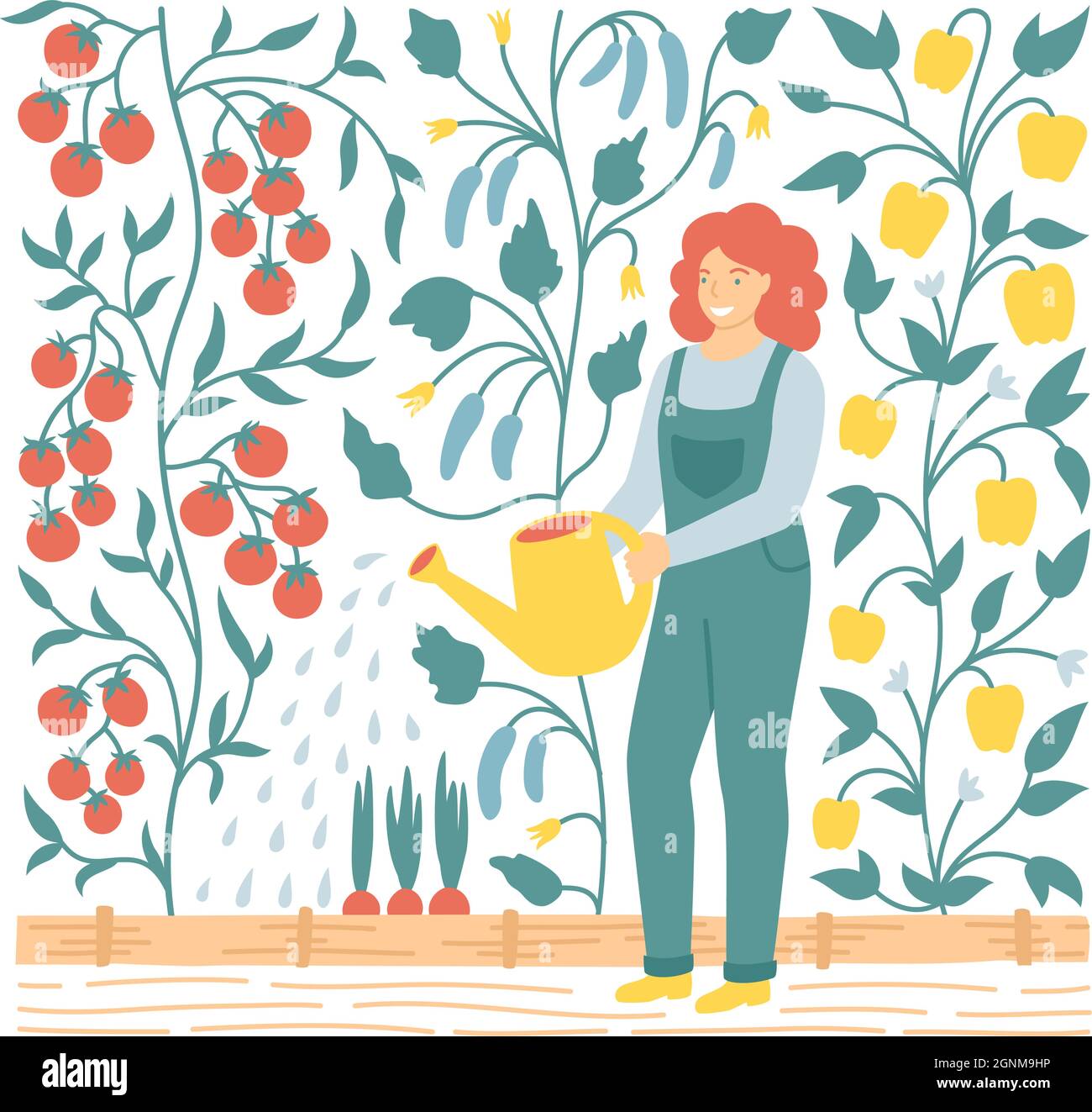 Vektor flache Illustration von Frau Bewässerung Gemüsegarten Betten für