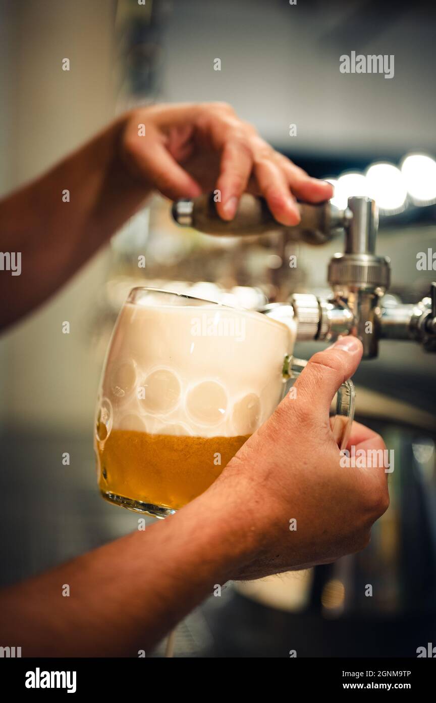 Erfahrener Barkeeper, der Bier vom Fass in ein Glas gießt. Pilsner (auch Pilsener oder einfach pils) in einem Glas . Stockfoto