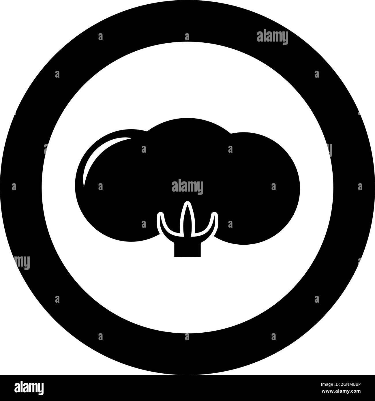 Baumwolle Blume Knospe Symbol im Kreis rund schwarz Farbe Vektor Illustration solide Kontur Stil einfaches Bild Stock Vektor