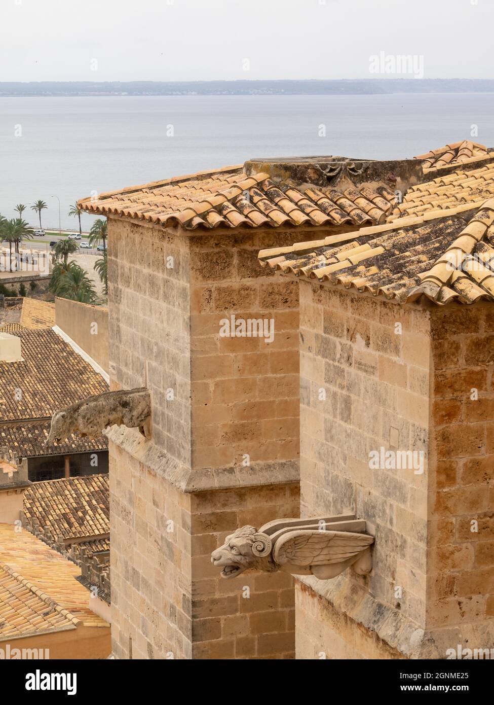 Kathedrale von Palma gargoylesg Stockfoto