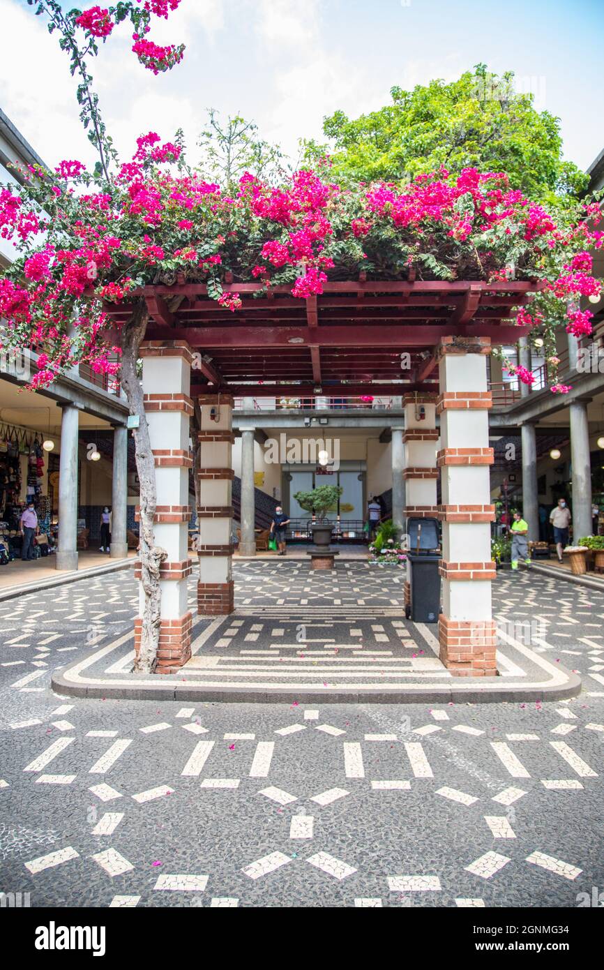 Halle eines touristischen Marktes namens 'Mercado dos Lavradores' in Funchal auf der Insel Madeira Stockfoto