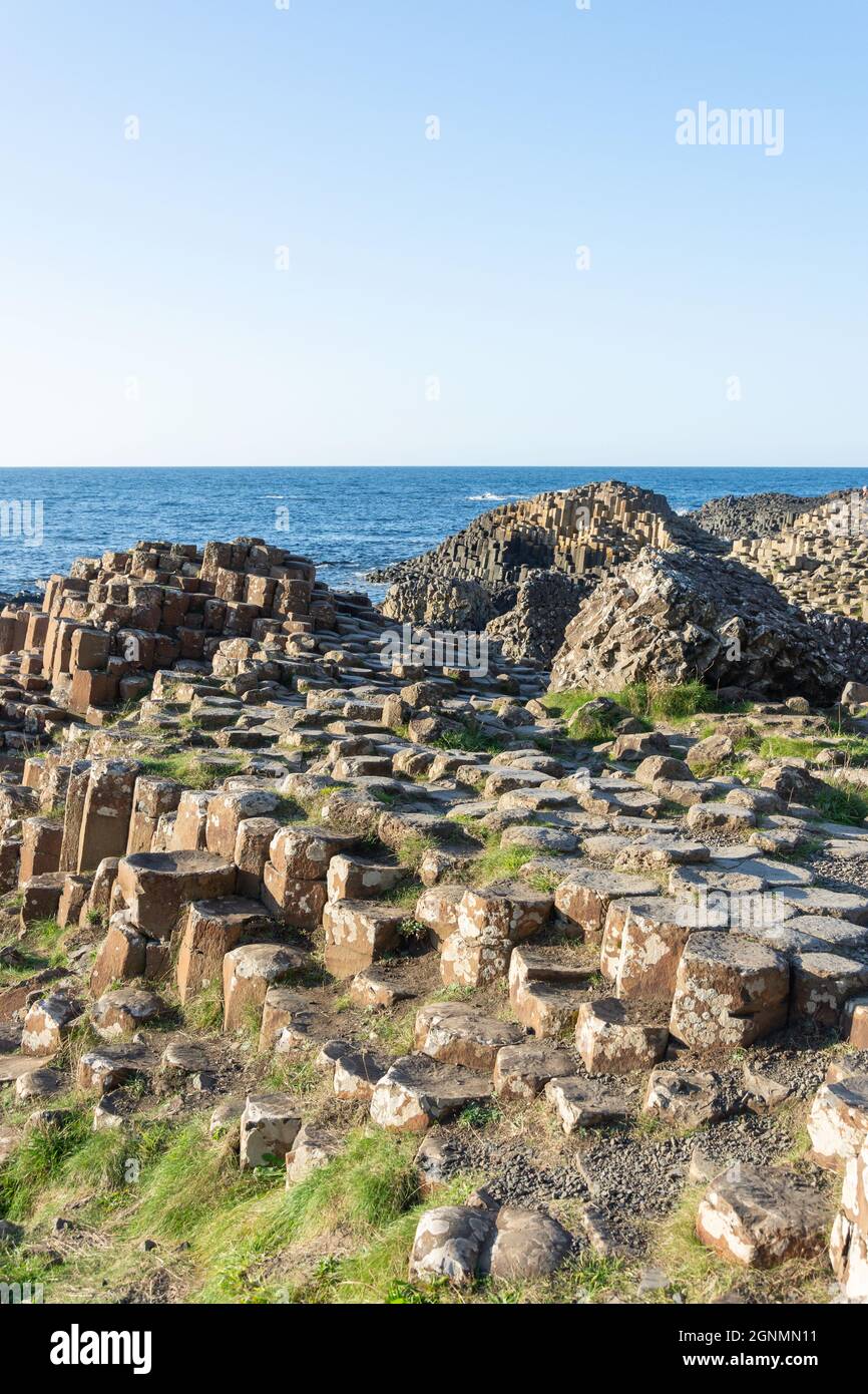 Basaltsäulen, The Giant's Causeway, Causeway Coast, in der Nähe von Bushmills, County Antrim, Nordirland, Vereinigtes Königreich Stockfoto