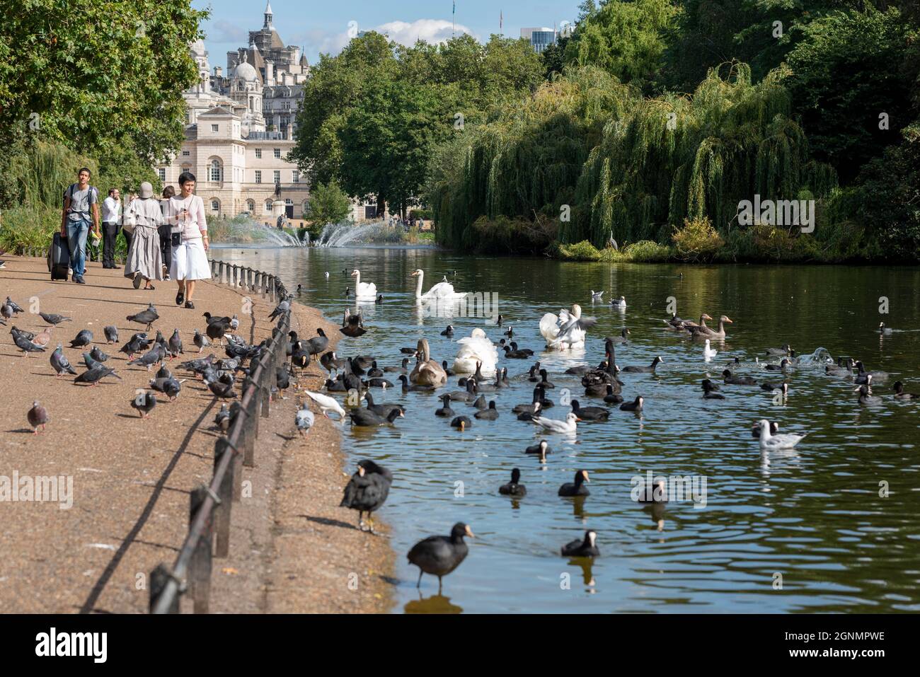 St James's Park in London, Großbritannien, mit See, Vögeln, Schwänen und Bäumen. Die Leute genießen einen sonnigen Septembertag Stockfoto