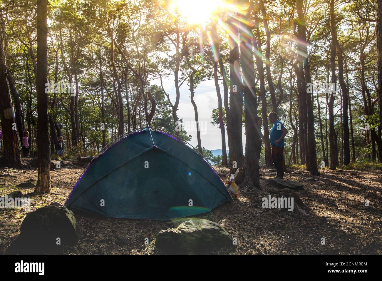 Naturerlebnisse Trekking (Pfälzer Wald, Deutschland) Stockfoto
