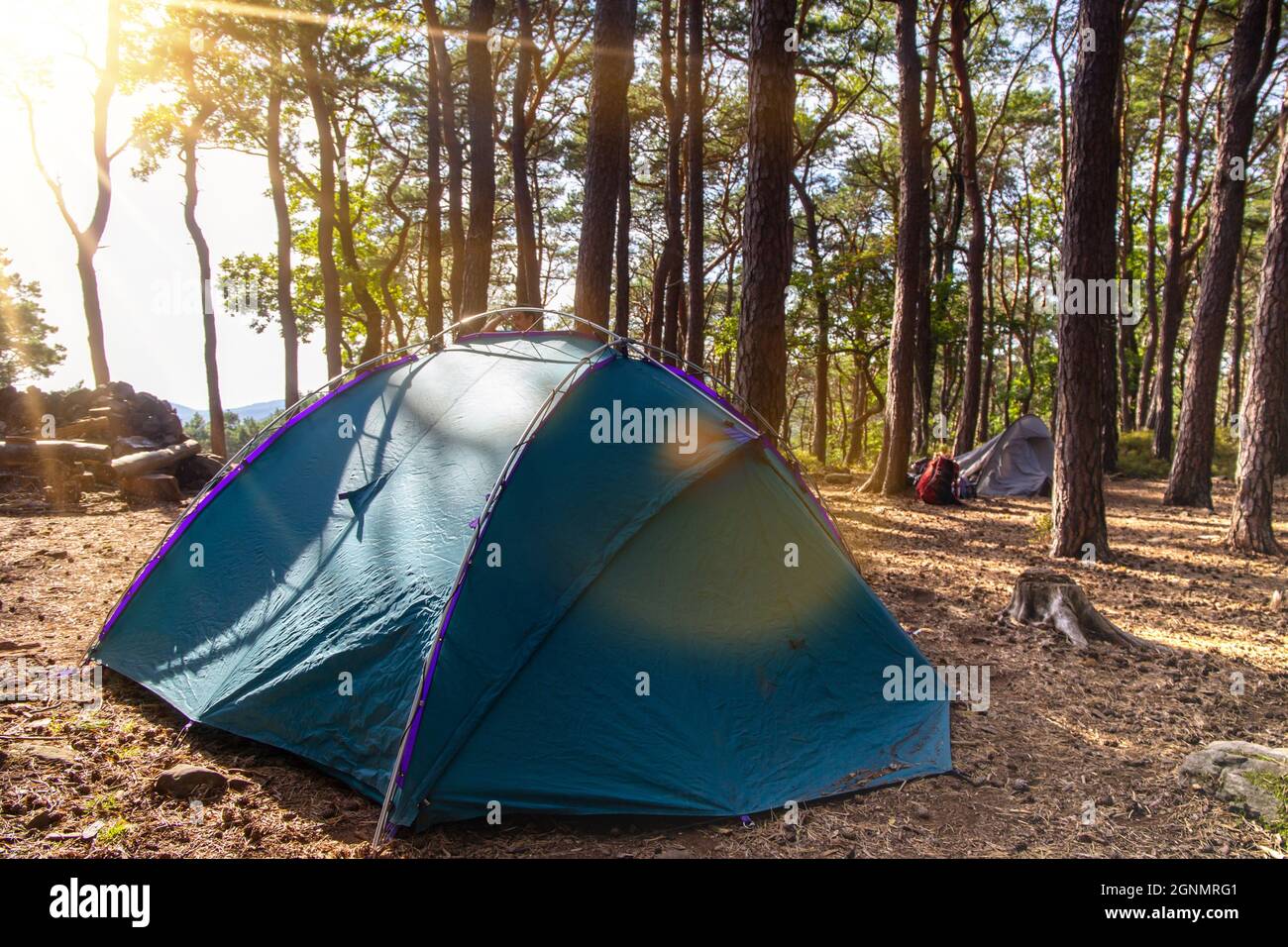 Naturerlebnisse Trekking (Pfälzer Wald, Deutschland) Stockfoto