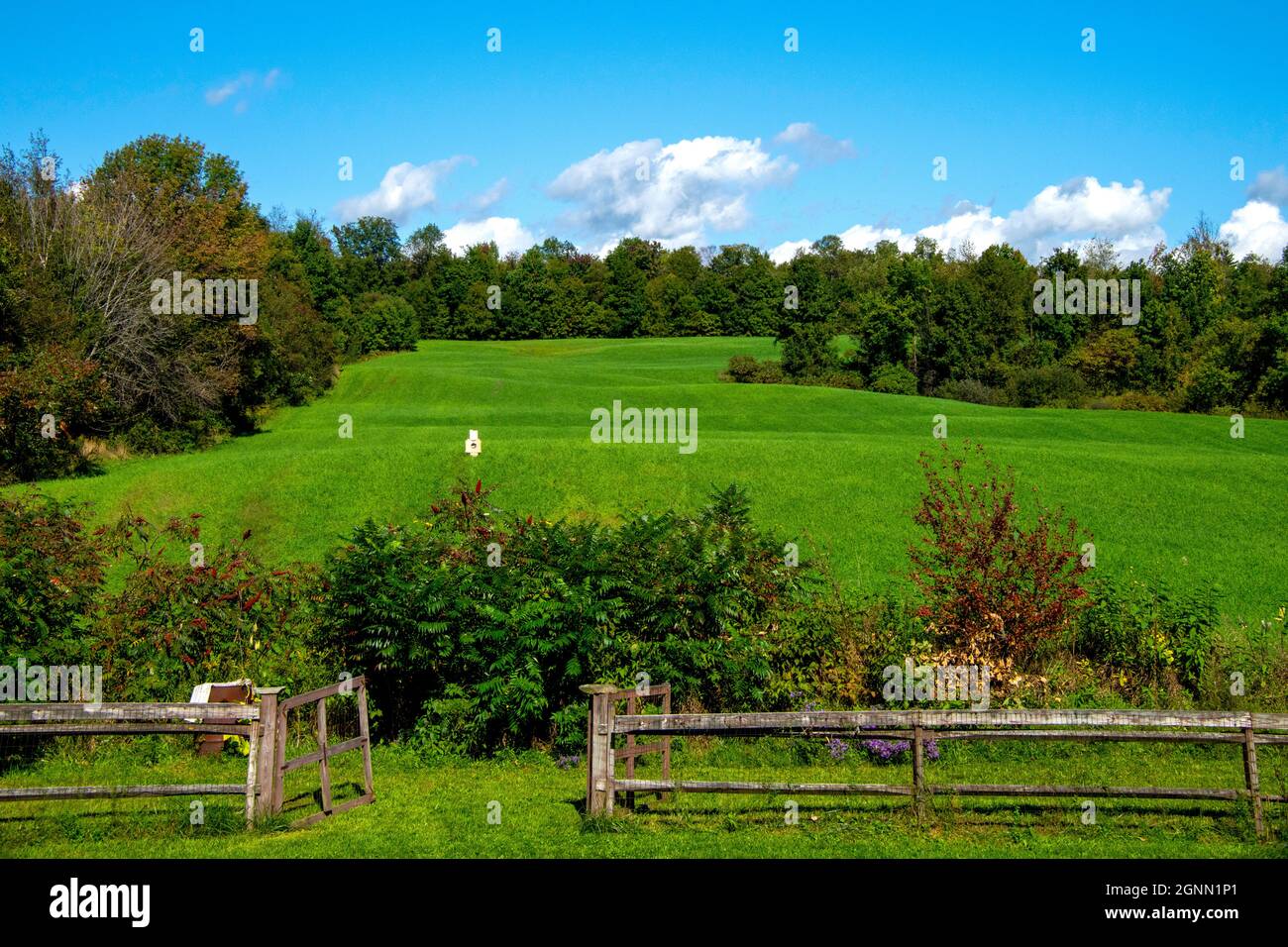 Schöner Tag in Upstate NY 2021 Stockfoto